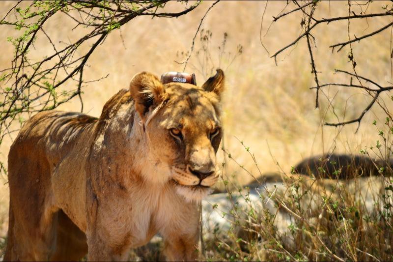 Apartmán Bushtime Mabula Mabula Game Reserve Exteriér fotografie